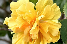 ��Ϣ�ⲻ�ٸ���