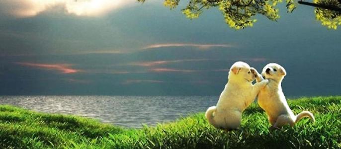 ����˯�����������ԭ��