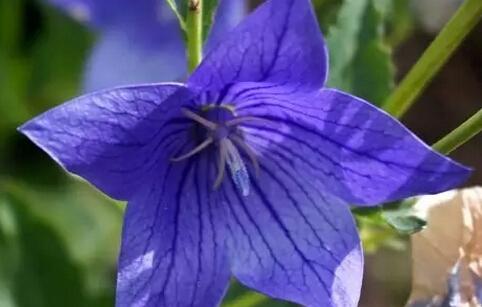 ��ͯ������֢����ЩΣ��?