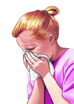 飬ǡϢ⡱ڵ