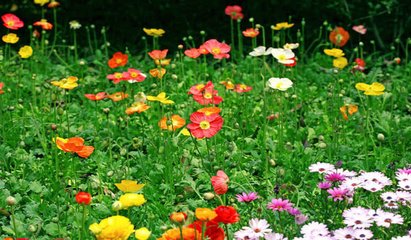 �������Ǻ�ҽԺ