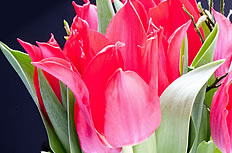 �����³��д���Ǻ�ҽԺ