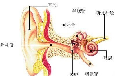 �����ĳ̶���������?