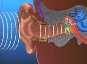 ��Ħ�ɸ����������