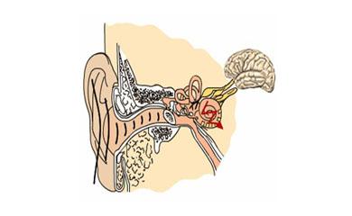 ��������ϰ�����׵��¶���