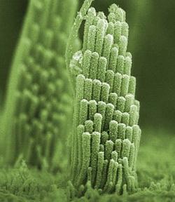 �����Ķ�����ʲô�̶�