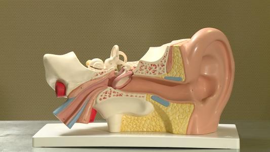 ����������ԭ������Щ