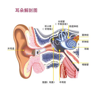 ��������С����������