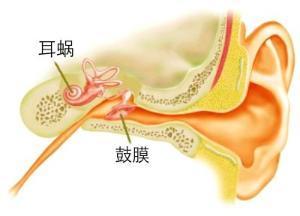 �����Զ���