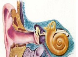 ��֢״������������