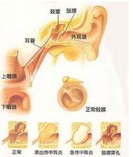 ���Ķ���Ԥʾȫ���Լ���