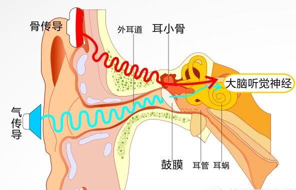 ���¶����������ߴ�����