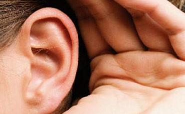 ���¶�����������