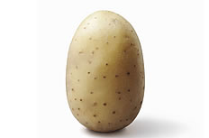 ����ԭ�Ǳ�Ϣ���ǵĻ�