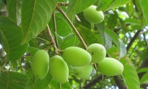 �����Ӧ������Щ���