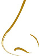 ļԱ ෢յʹ˶