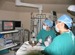 ���ʹ����Ա������κ���