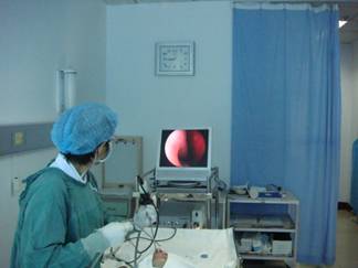 �����巢�׳�ʲô��?