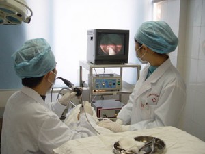 ��ôԤ���������ף�